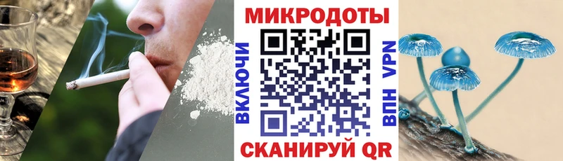 блэк спрут сайт  Весьегонск  Псилоцибиновые грибы прущие грибы 